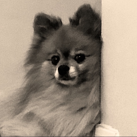 Meet your Posher, Monique - Picture 2 of 2